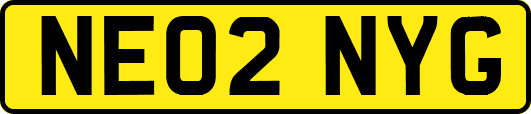 NE02NYG