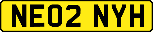 NE02NYH