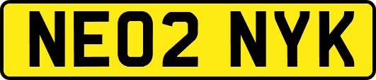 NE02NYK