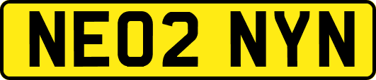 NE02NYN