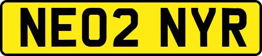 NE02NYR