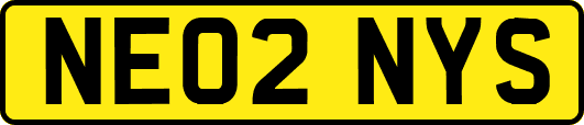 NE02NYS