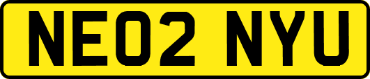 NE02NYU
