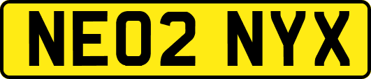 NE02NYX