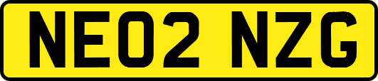 NE02NZG