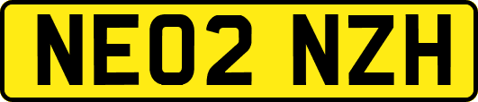 NE02NZH
