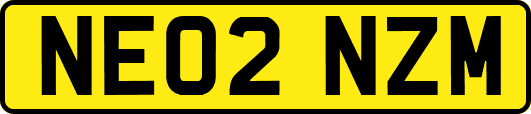 NE02NZM