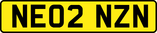 NE02NZN