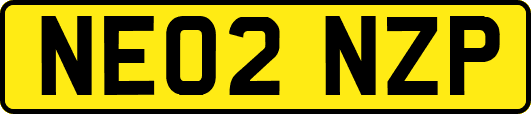 NE02NZP