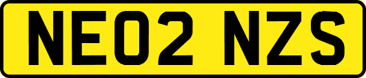 NE02NZS