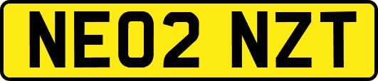 NE02NZT