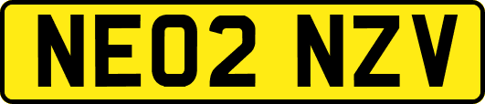 NE02NZV