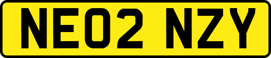 NE02NZY