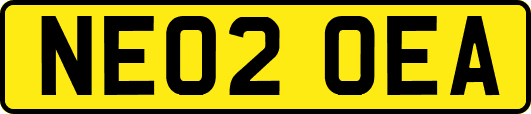 NE02OEA