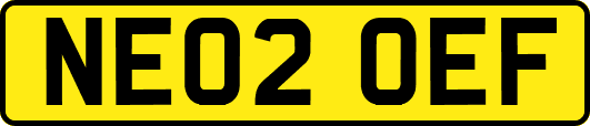 NE02OEF