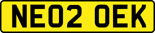 NE02OEK