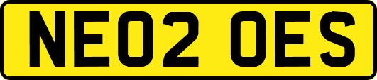 NE02OES