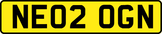 NE02OGN