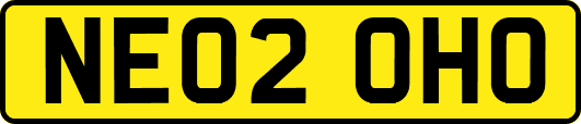 NE02OHO