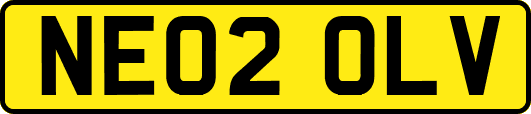 NE02OLV