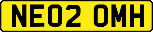 NE02OMH