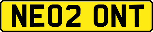 NE02ONT