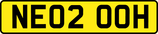 NE02OOH