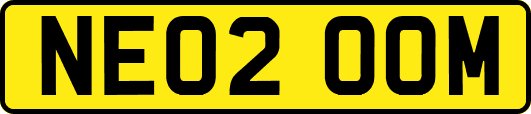 NE02OOM