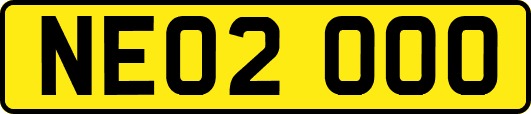 NE02OOO
