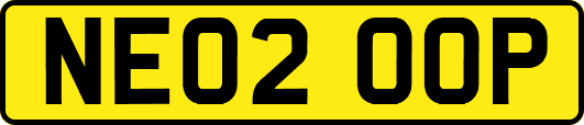 NE02OOP