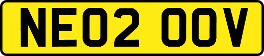 NE02OOV
