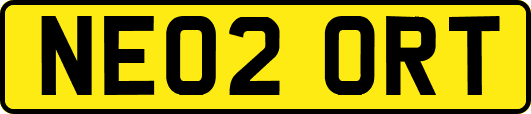 NE02ORT