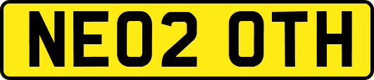NE02OTH