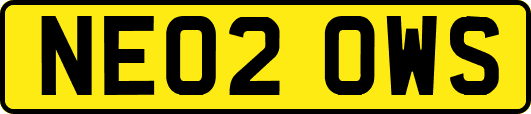 NE02OWS