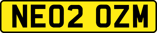 NE02OZM