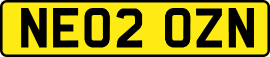 NE02OZN