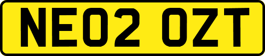 NE02OZT