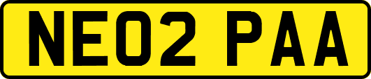 NE02PAA