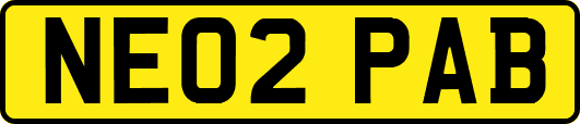 NE02PAB