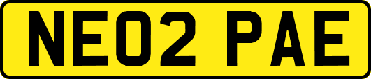 NE02PAE