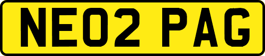 NE02PAG