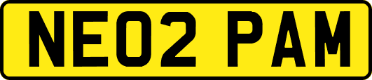 NE02PAM