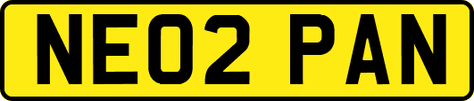 NE02PAN