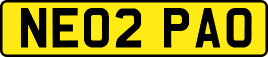 NE02PAO