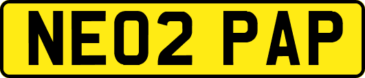 NE02PAP