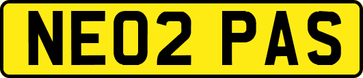 NE02PAS