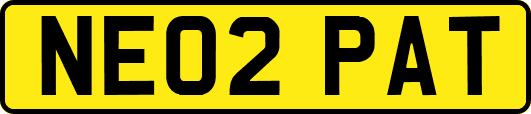 NE02PAT