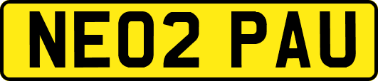 NE02PAU
