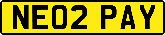 NE02PAY