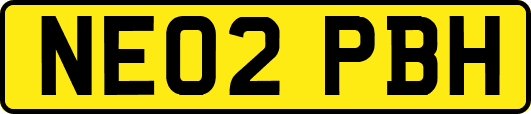 NE02PBH